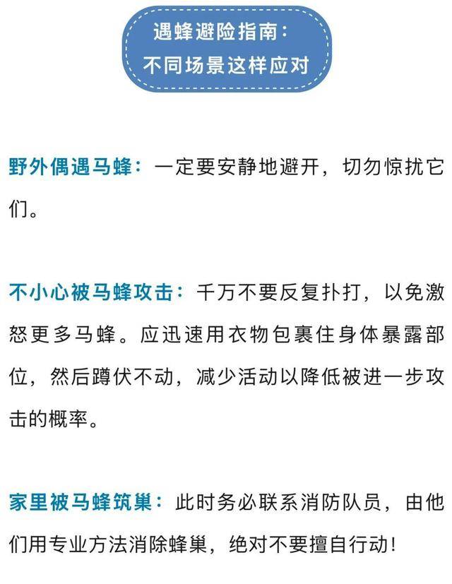 荷兰乙组联赛_别招惹！广东一老人中招荷兰乙组联赛，不幸去世