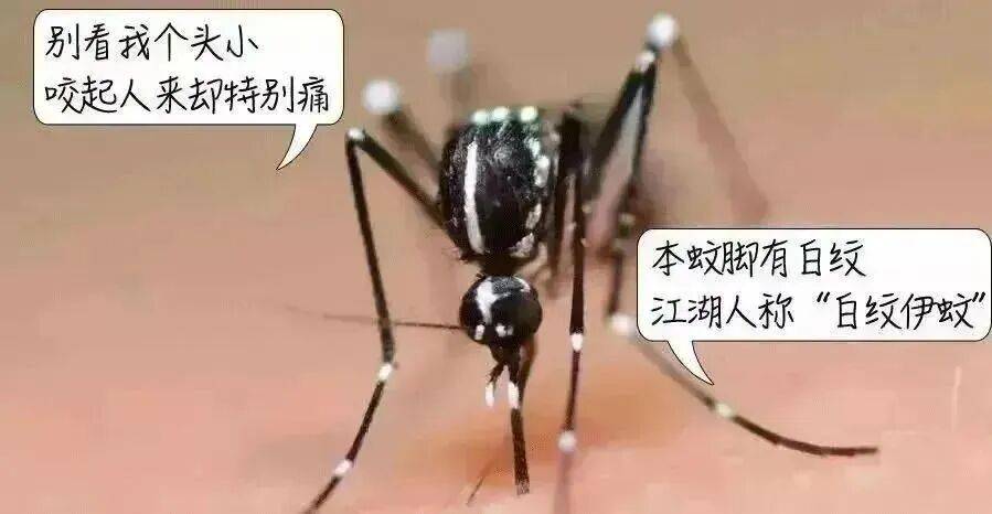 皇冠信用网登3出租_消灭一只等于消灭千只!深圳人皇冠信用网登3出租,天冷也别忘了做这件事!